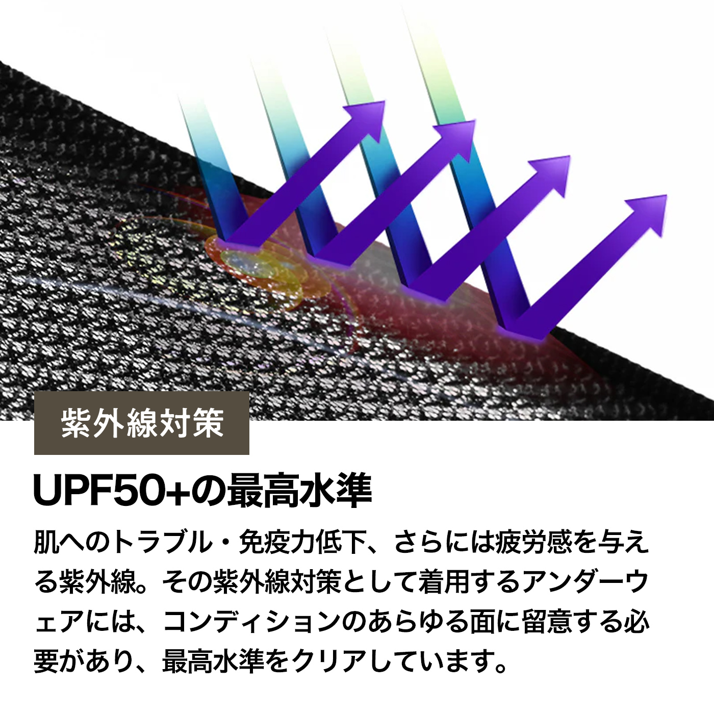 ゼロフィットスタンダード