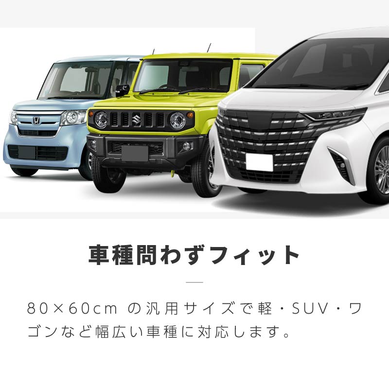 カーゴネット ラゲッジネット 車 天井ネット トランクネット 普通車 軽