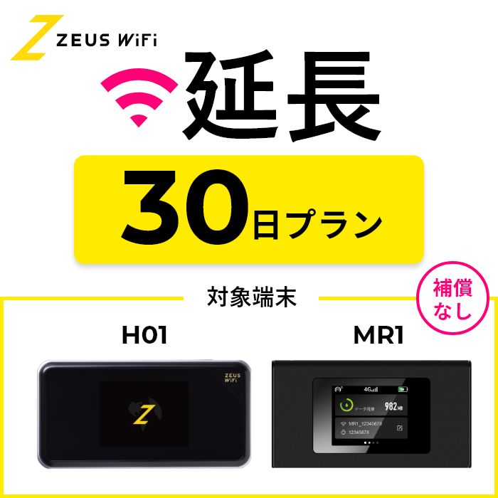 【延長専用】短期レンタルWiFi ３０日プランオプションなし | 