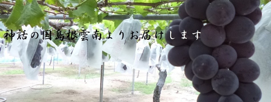 池田ぶどう農園Yahoo!店