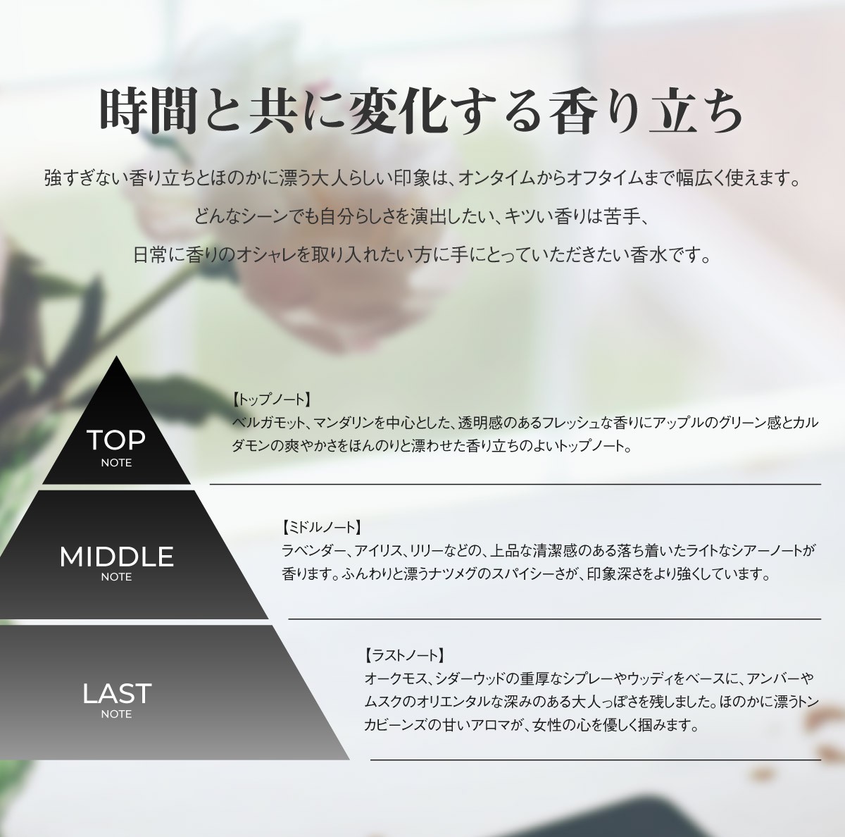 ch1809001-e.jpg