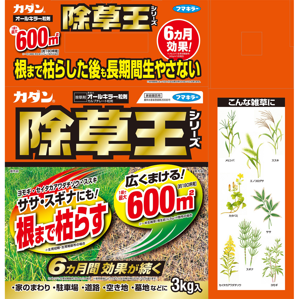 除草王 フマキラー カダン オールキラー粒剤 3kg（JAN
