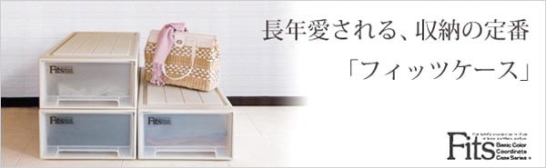 Fits 2個セット 天馬 フィッツケース スリムL カプチーノ（幅