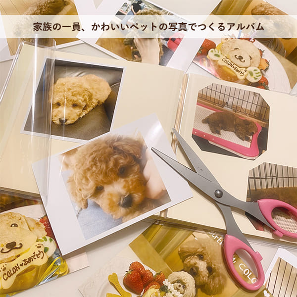 ペットの想い出アルバム