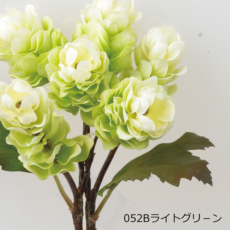 アスカascaホップ×6(1束2本) ドライ(as250/131) | アスカ商会 | 01