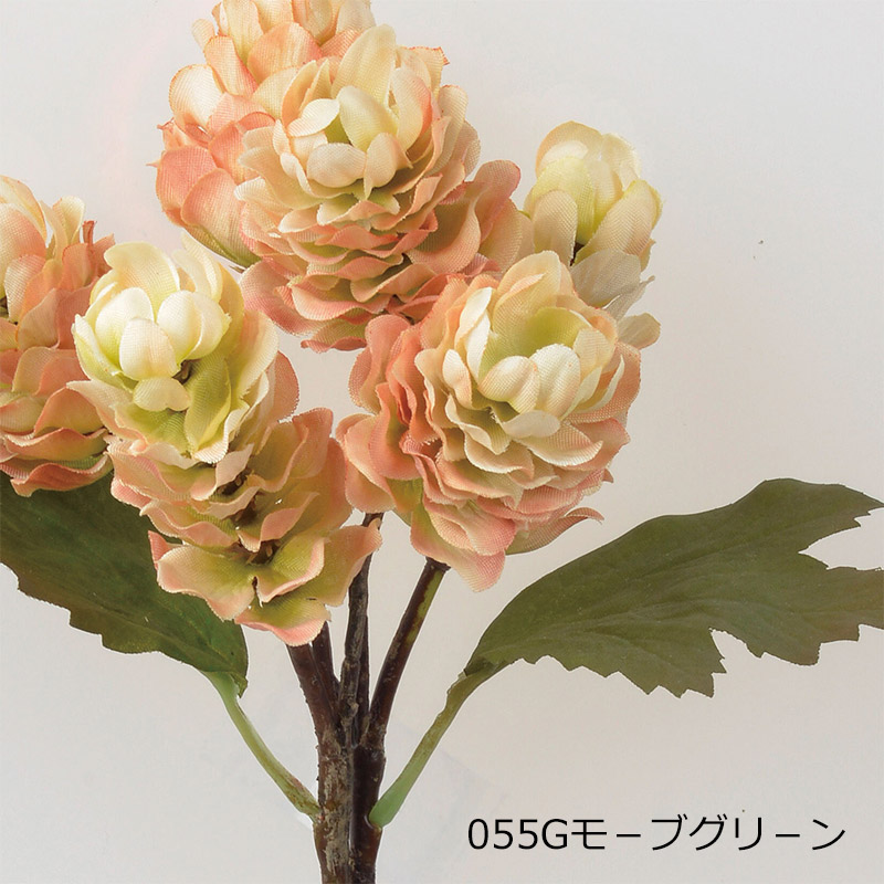 アスカascaホップ×6(1束2本) ドライ(as250/131) | アスカ商会 | 02