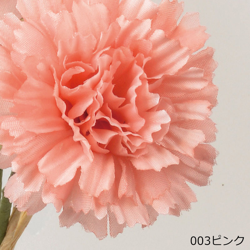 アスカascaカーネーションバンチ(1束3本) ドライ(as250/136) | アスカ商会 | 01