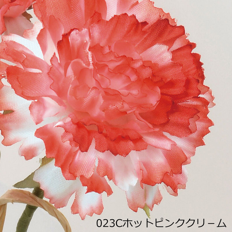 アスカascaカーネーションバンチ(1束3本) ドライ(as250/136) | アスカ商会 | 03