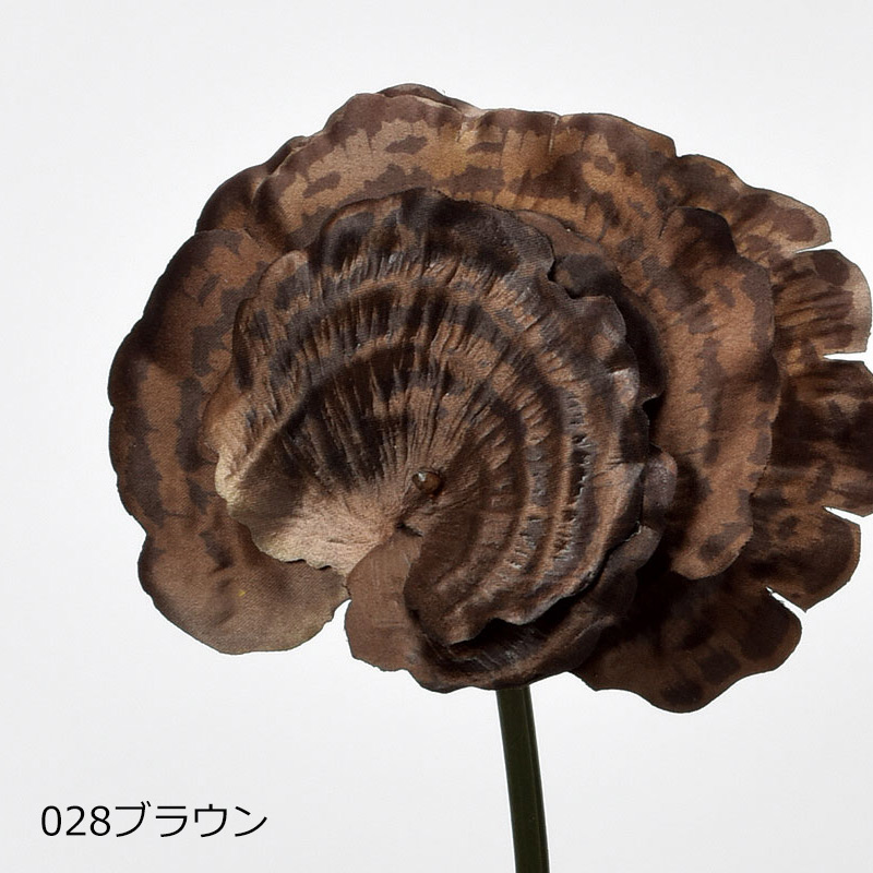 アスカascaサルノコシカケ ドライ(as250/116) | アスカ商会 | 01