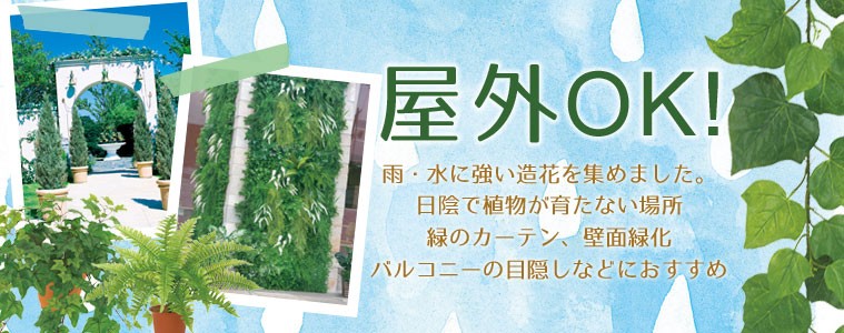 タイトル画像