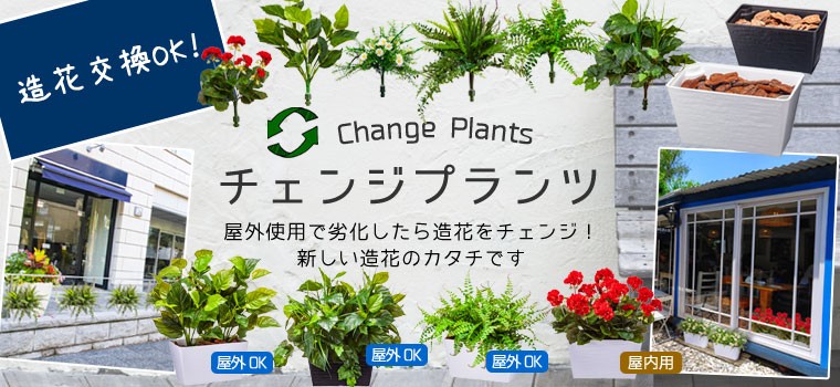 タイトル画像