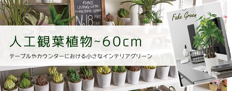 タイトル画像