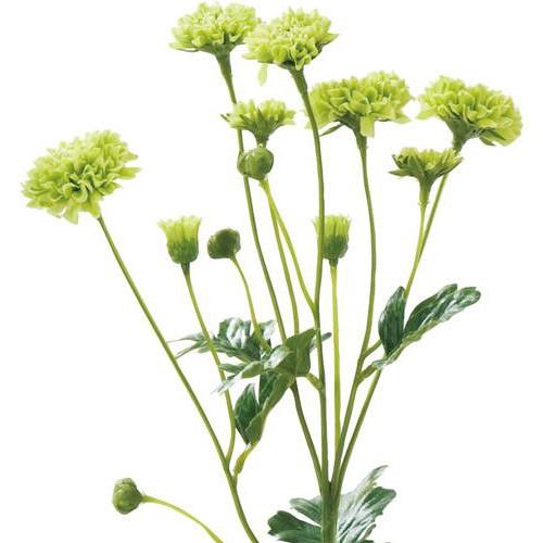 造花 アートフラワー 春秋の花 仏花 スプレーマム Dmfg23 51 Fa 6452 造花ディスプレイ ドットコム 通販 Yahoo ショッピング 造花 アートフラワー 春秋の花 仏花 スプレーマム Dmfg23 51 Fa 6452 造花ディスプレイ ドットコム 通販 Yahoo ショッピング