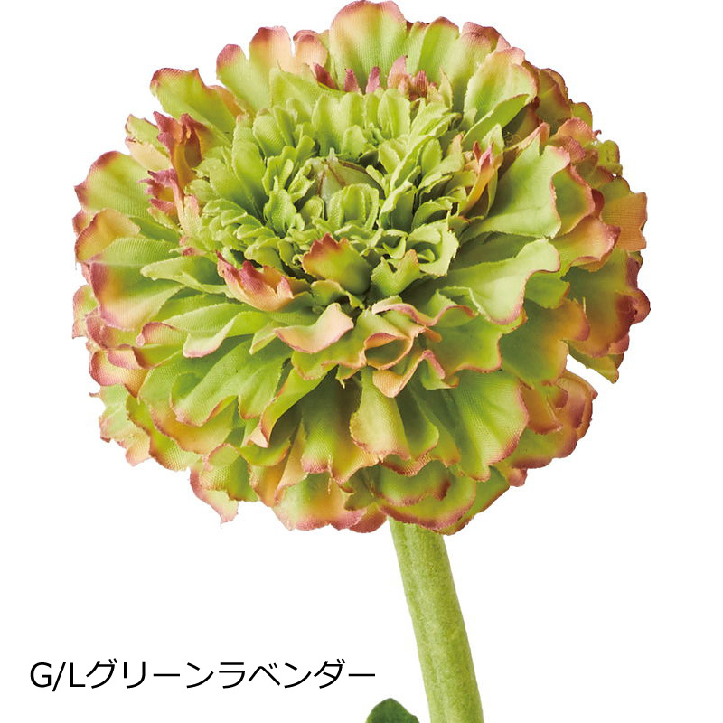 フリルレアラナンキュラス 造花スプレイ(DMFG2023/33)｜zoukasousyoku-d｜02