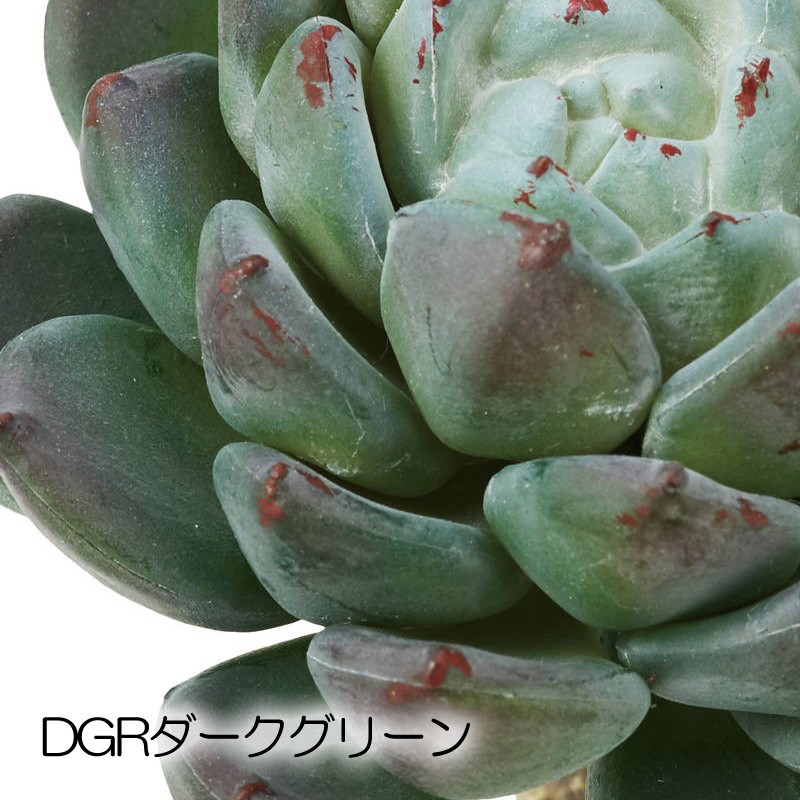 数量限定】 ラウンドエケベリアピック 造花 人工観葉 フェイクグリーン 多肉植物 DMFG22 167 wantannas.go.id