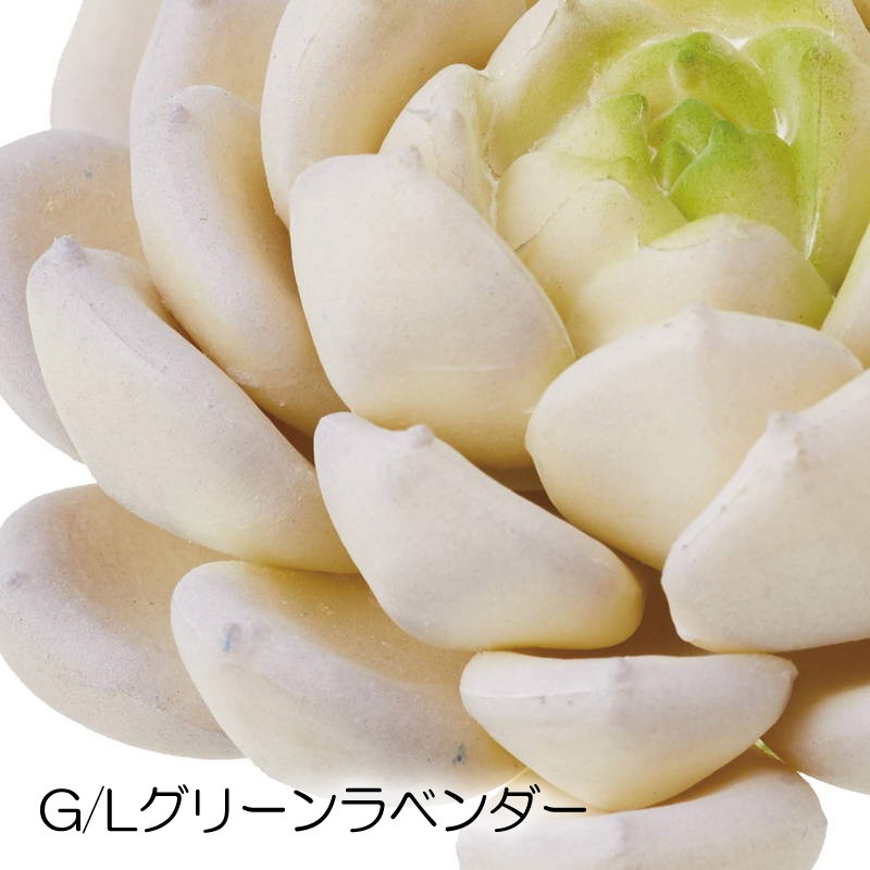 数量限定】 ラウンドエケベリアピック 造花 人工観葉 フェイクグリーン 多肉植物 DMFG22 167 wantannas.go.id