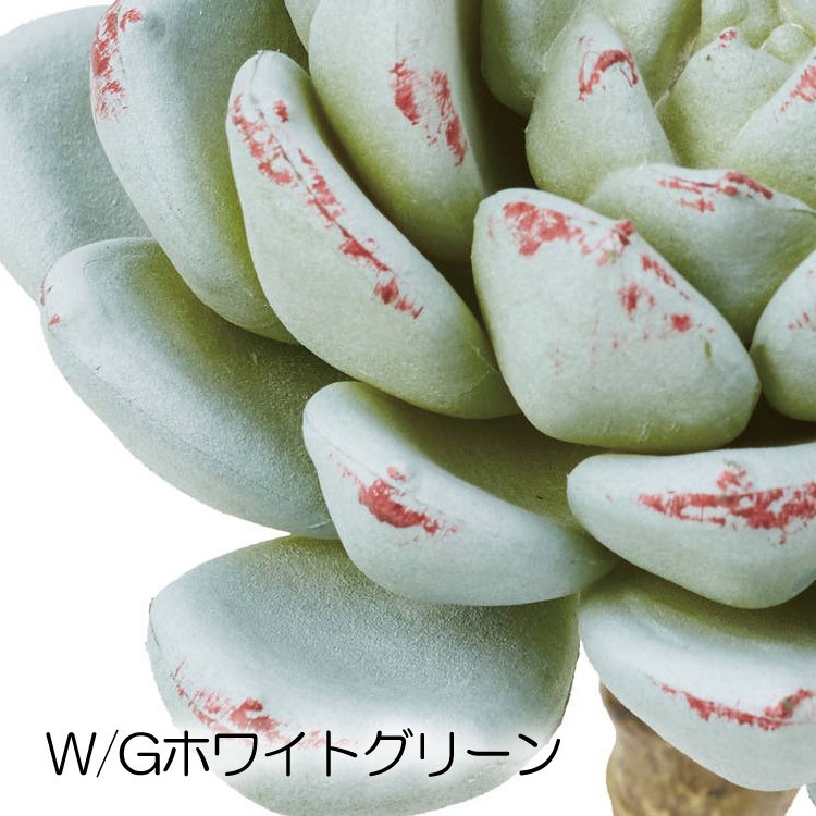 数量限定】 ラウンドエケベリアピック 造花 人工観葉 フェイクグリーン 多肉植物 DMFG22 167 wantannas.go.id