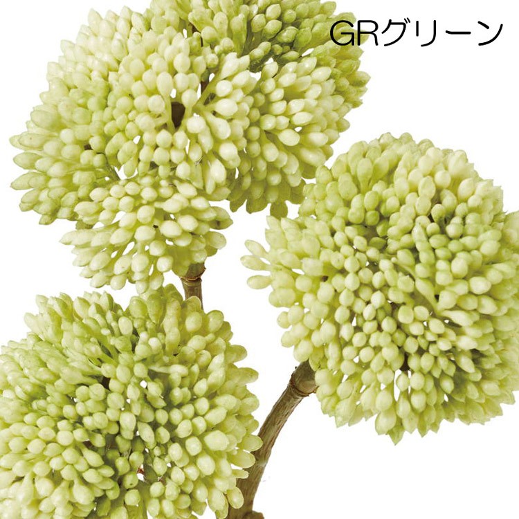 オランダセダムピック 造花 ブーケ人工観葉 フェイクグリーン 多肉植物 プチプチ Mdy151 Fg 5110 造花ディスプレイ ドットコム 通販 Yahoo ショッピング オランダセダムピック 造花 ブーケ人工観葉 フェイクグリーン 多肉植物 プチプチ Mdy151 Fg 5110 造花ディスプレイ ドットコム 通販 Yahoo ショッピング