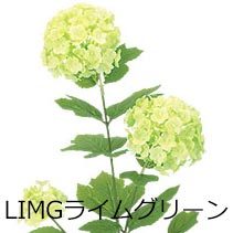 オオデマリ 大手鞠 造花 アートフラワー)スノーボールスプレイｘ3(GL30) |  | 01