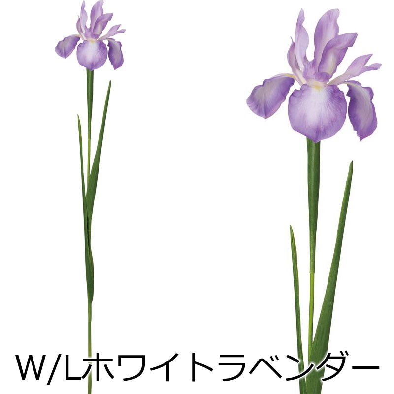 菖蒲 造花 和 リョウカアヤメ(DMSS2023/27)｜zoukasousyoku-d｜03