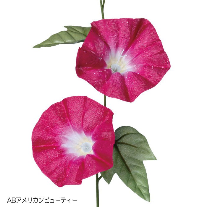 業務用大量あさがお 青 20本 22a W新作送料無料 業務用大量あさがお 青 20本 22a W新作送料無料