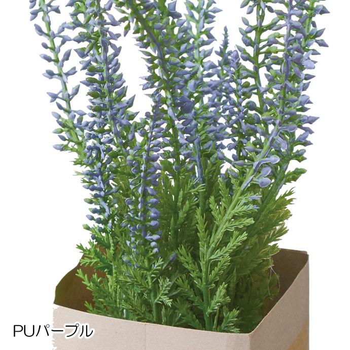 造花 フェイクグリーン 人工観葉植物) エリカペーパーポット(DMFG2023/223) | ポピー | 01