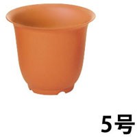 ノアポット(5号)