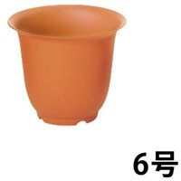 ノアポット(6号)