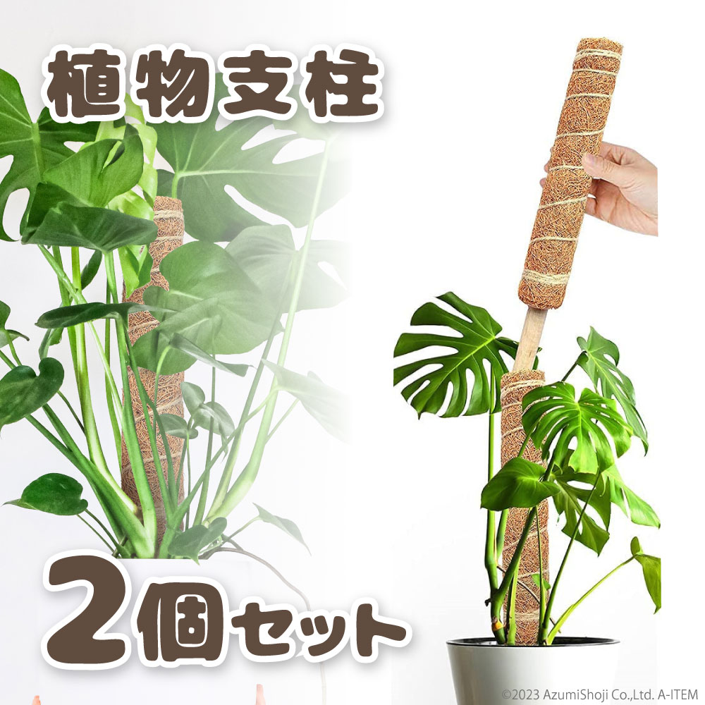 植物 支柱 30cm 2本セット ココナッツ 繊維 つる性植物 観葉植物