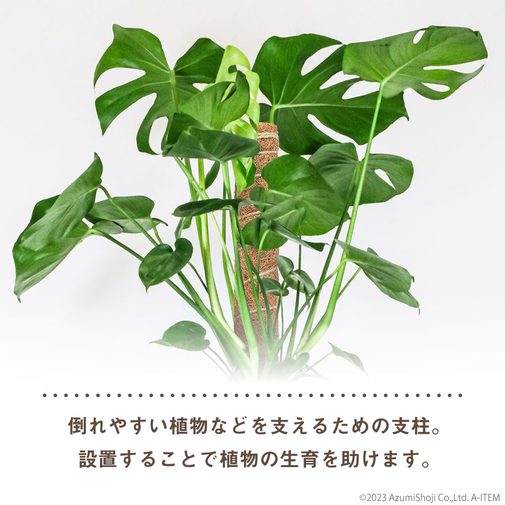 100個❣️ 植物ラベル 橙 庭 ラベル 植物 ラベル 野菜 園芸