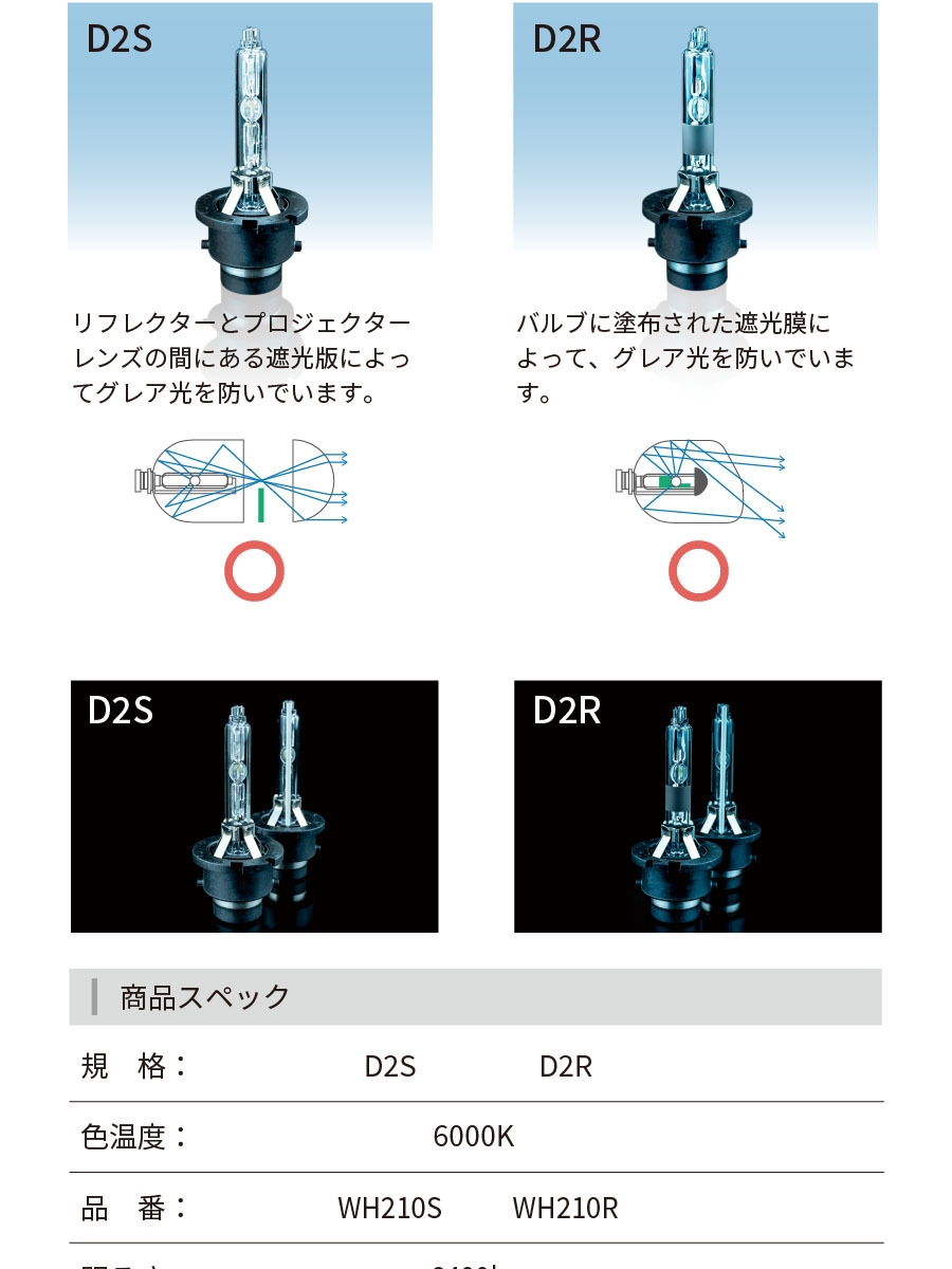 日本ライティング6000K D1SD2S/R D4S/R HIDバルブ Amazon | 【純正HID交換用バルブ】D4S かんたん取付交換 6000K