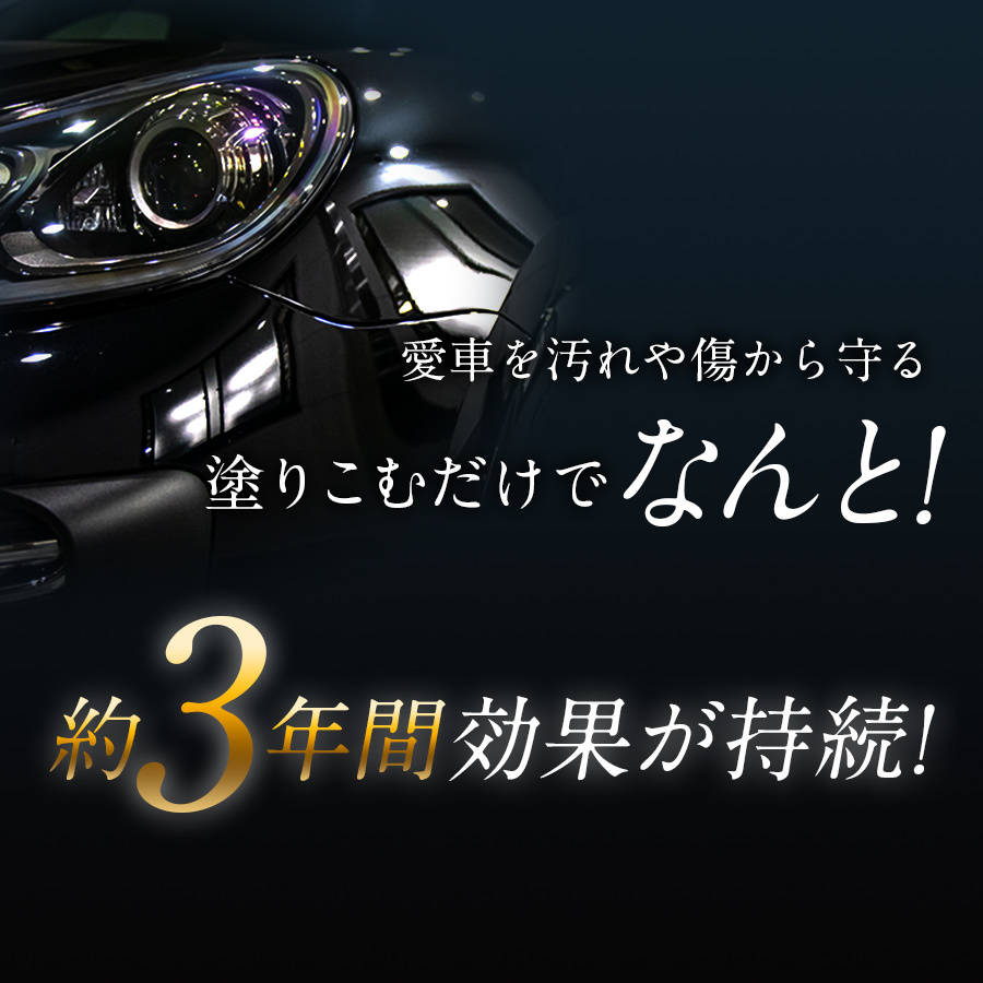 即日出荷 プロが認めた ガラスコーティング ゼウスクリア スタンダードキット Mサイズ ボディ用 3年間ノーワックス 光沢 艶 撥水 メンテナンス剤 脱脂剤 1台セット メーカー包装済 Salvatori Com Br