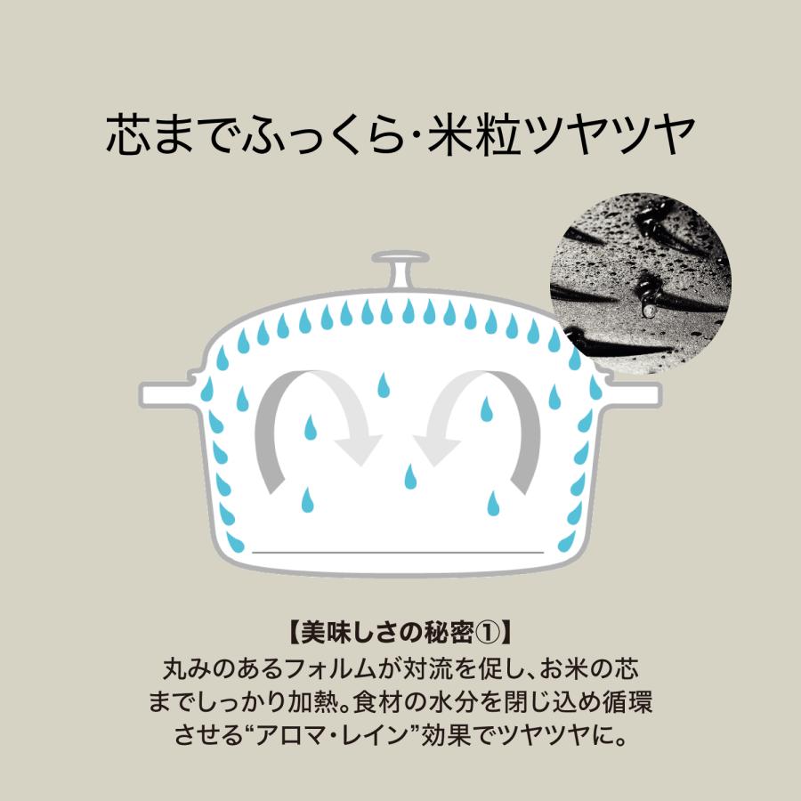 ラ ココット de GOHAN 【BUY2 30%OFF】【在庫限り】ストウブ ラメール