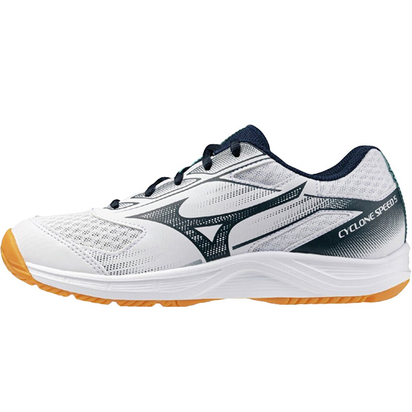 MIZUNO（ミズノ） ジュニア バレーボールシューズ ビギナー向け